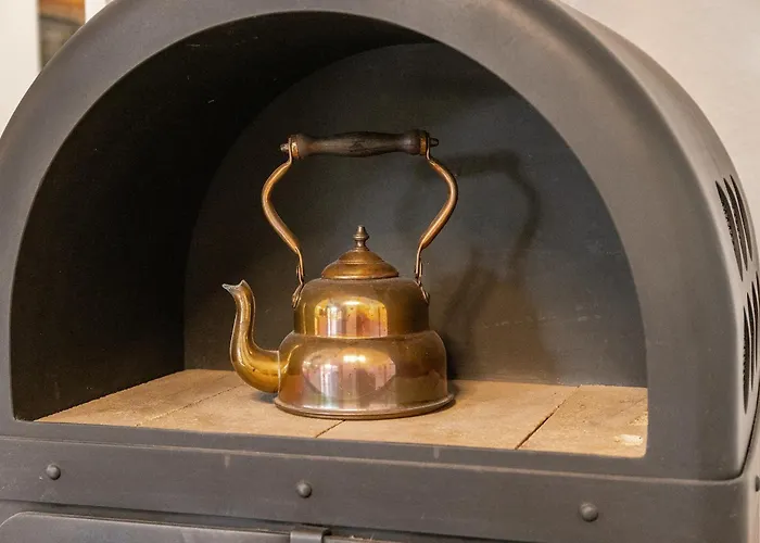 50091 卡罗利嫩西尔